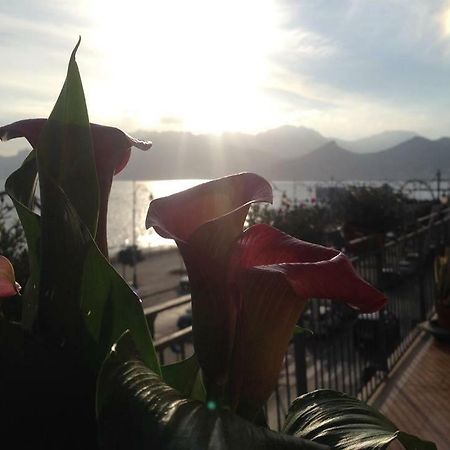 Leucosia Bed & Breakfast 萨莱诺 外观 照片