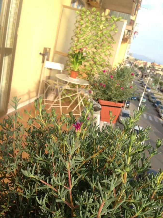 Leucosia Bed & Breakfast 萨莱诺 外观 照片