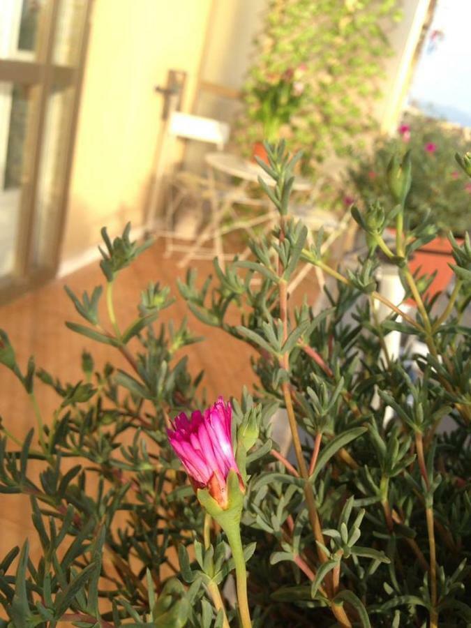 Leucosia Bed & Breakfast 萨莱诺 外观 照片
